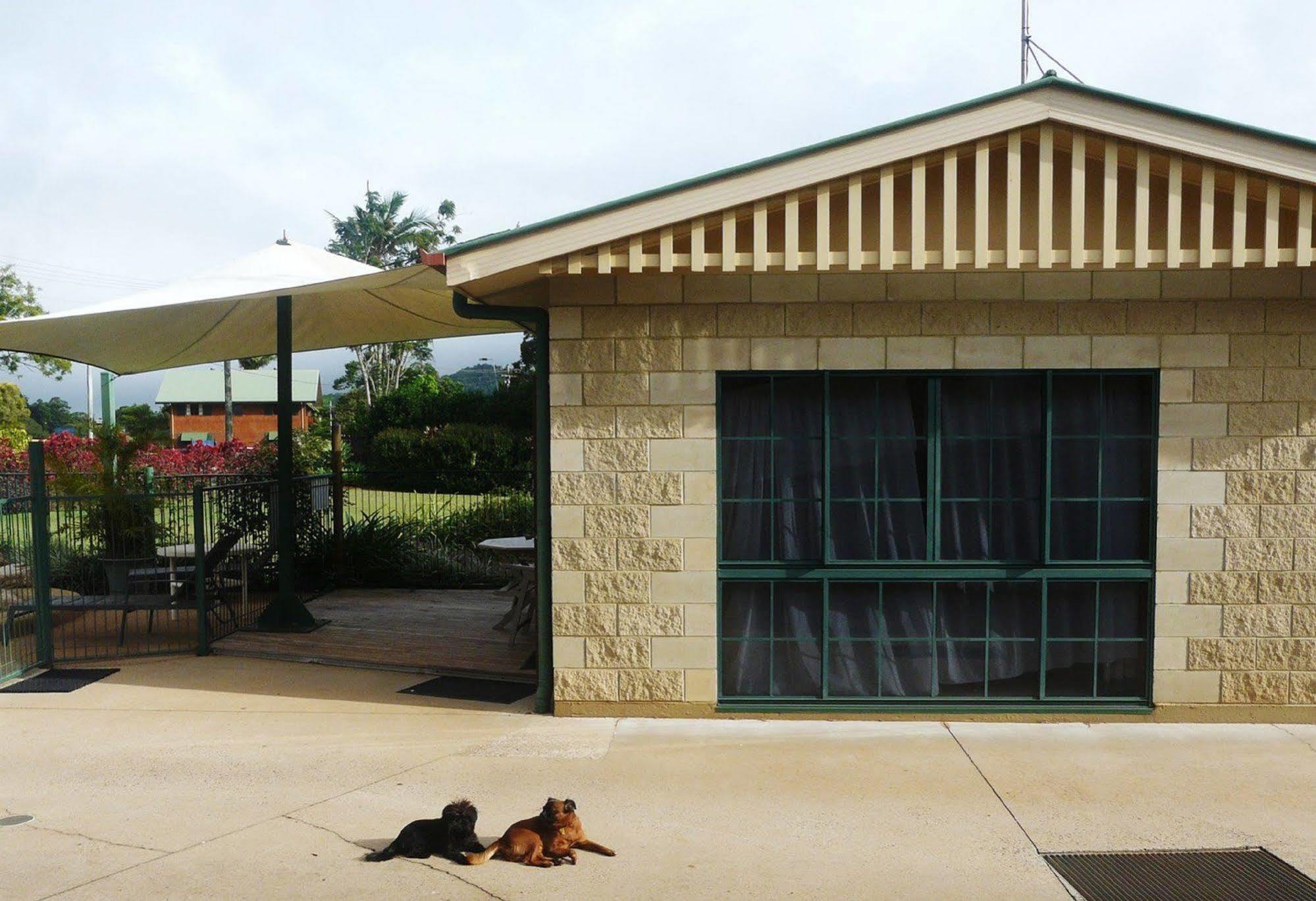 Curtain Fig Motel Yungaburra Εξωτερικό φωτογραφία